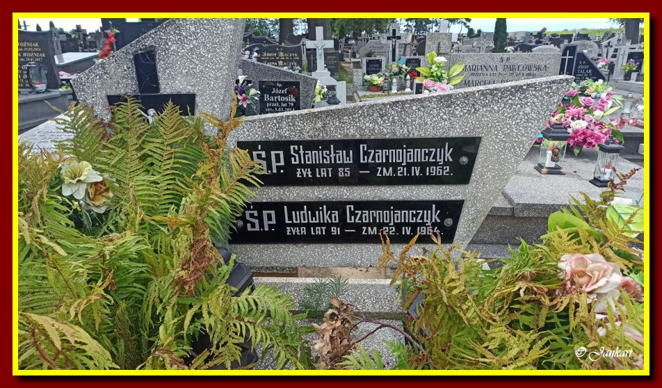 Czarnojańczyk S.L.